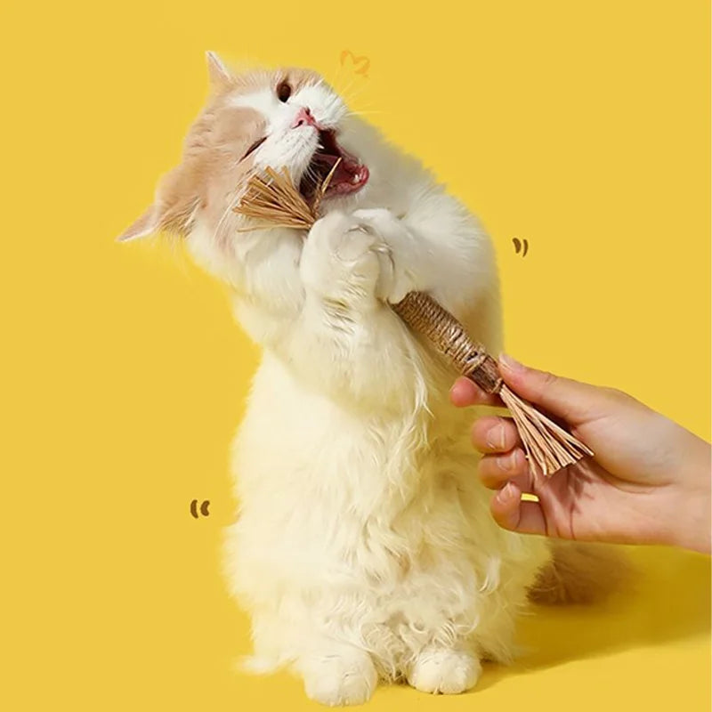 Silverline Pet Chew Stick Polygonum Kitty Raffia Grass