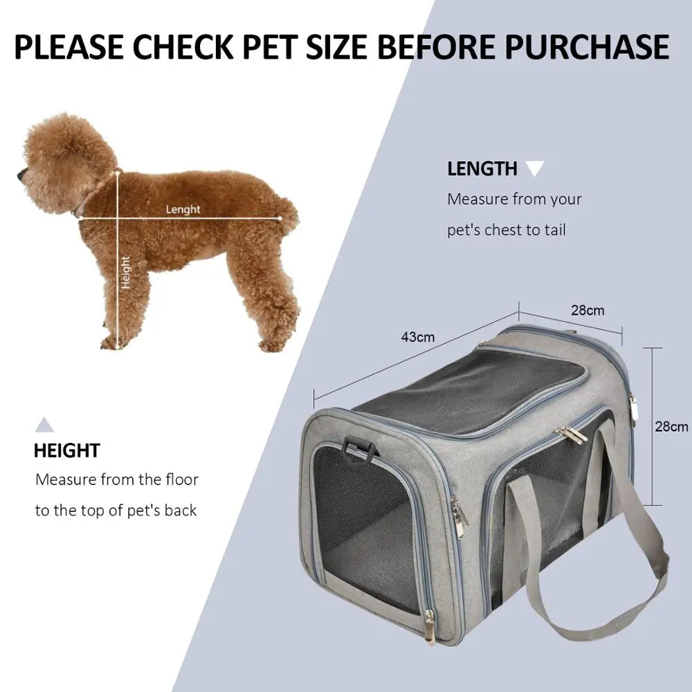 Airline-Approved Soft-Sided Dog Carrier Backpack