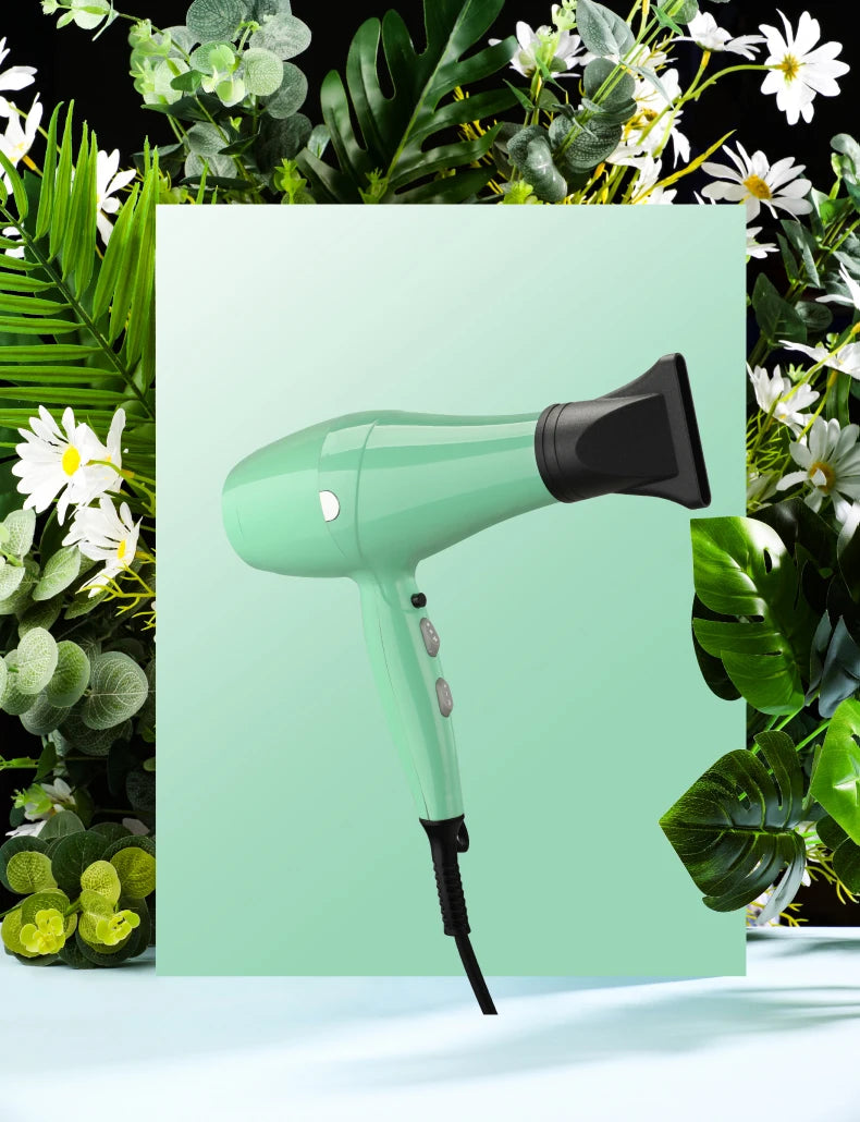 Fenice High-Power Pet Hair Dryer – Silent Water Blower for Quick Drying Dogs and Cats