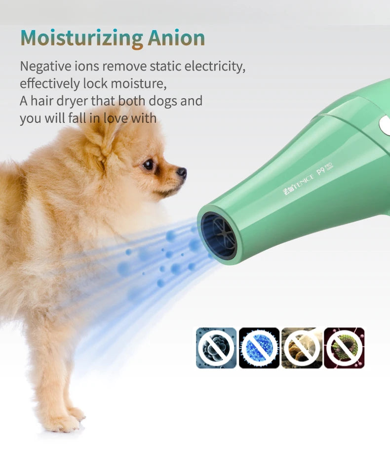 Fenice High-Power Pet Hair Dryer – Silent Water Blower for Quick Drying Dogs and Cats
