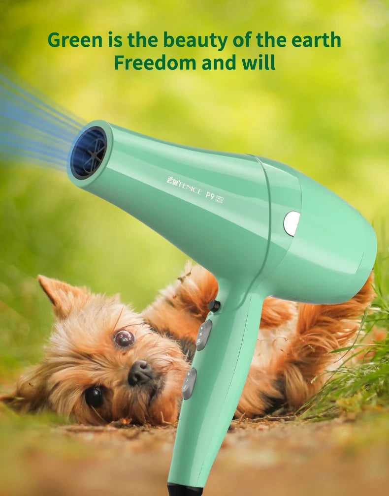 Fenice High-Power Pet Hair Dryer – Silent Water Blower for Quick Drying Dogs and Cats