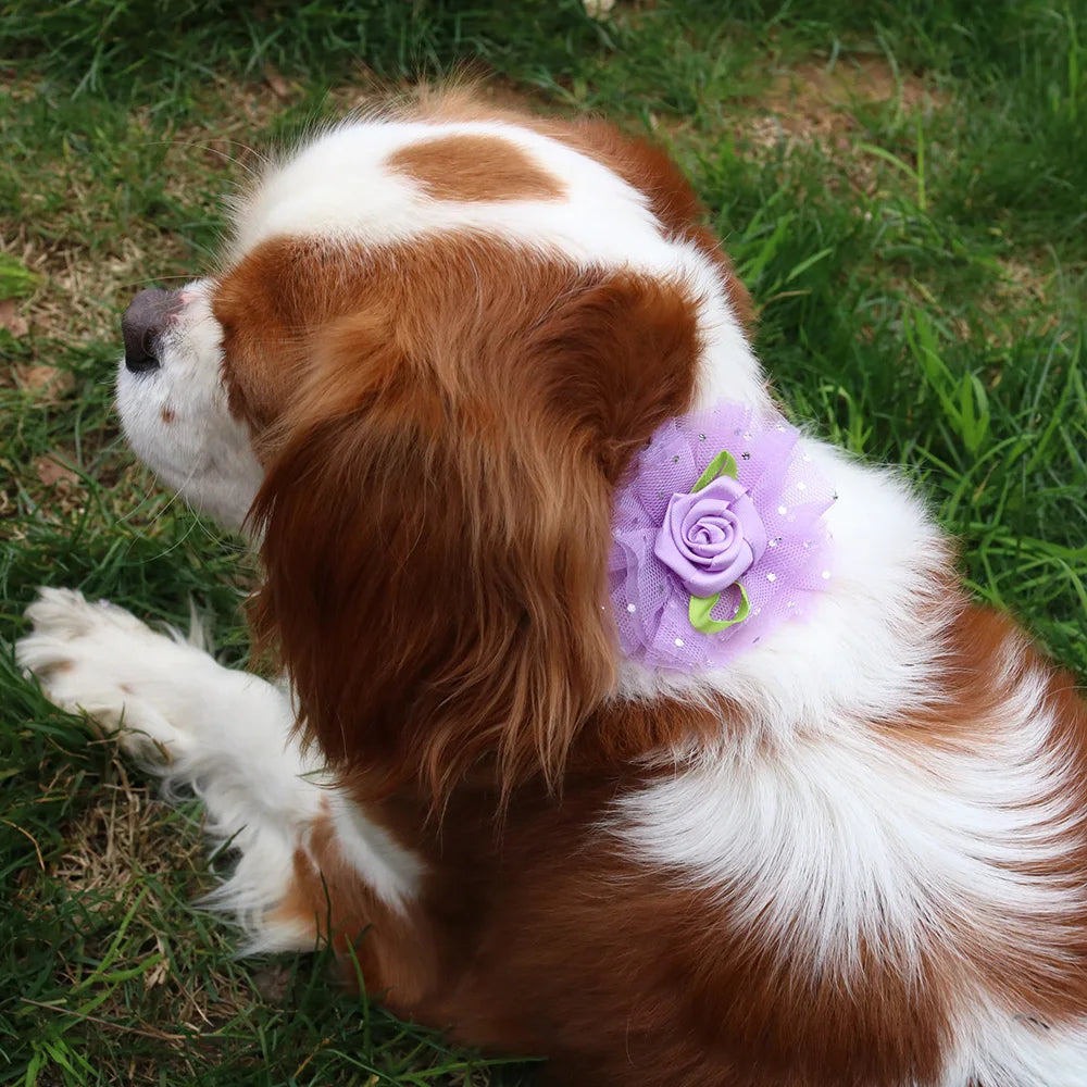 20pcs Valentine’s Day Pet Bowties and Neckties – Lace Rose Love Style Accessories for Dogs and Cats