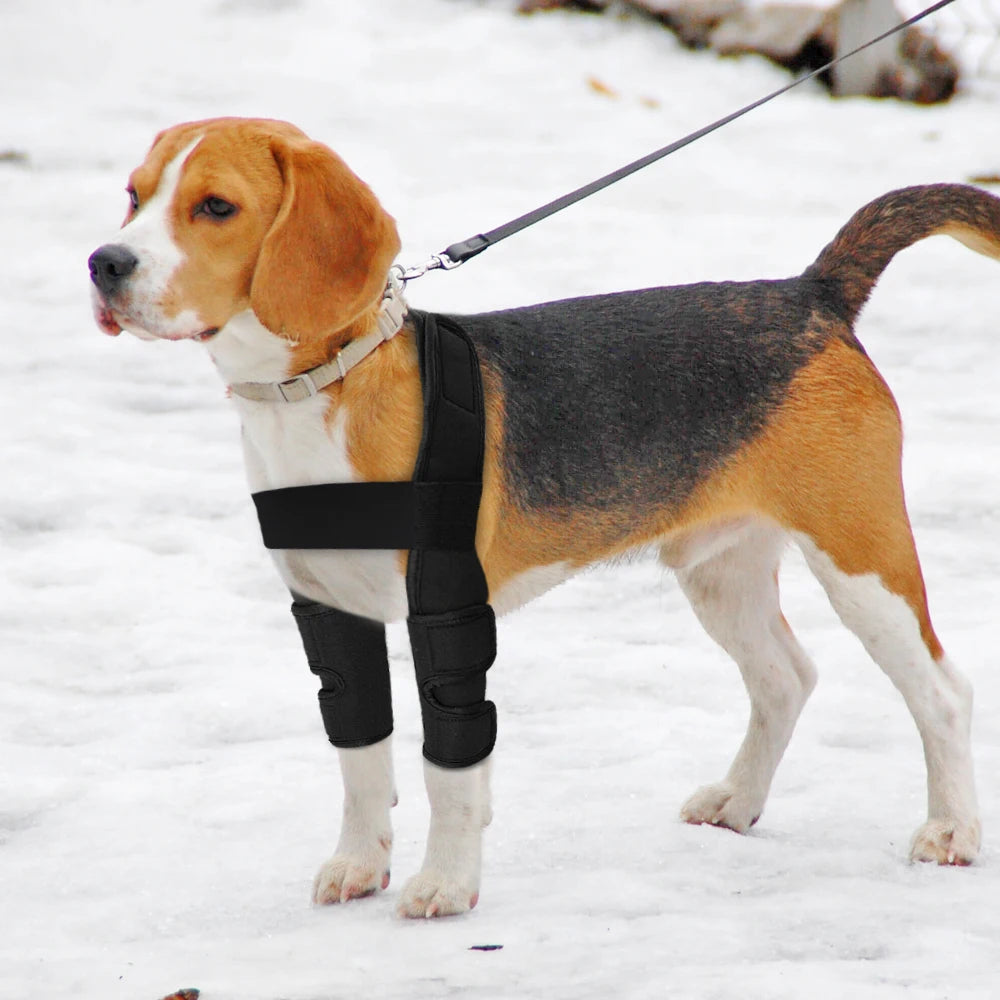 Dog Knee and Leg Brace – Supportive Joint Wrap for Injury Recovery and Arthritis Relief