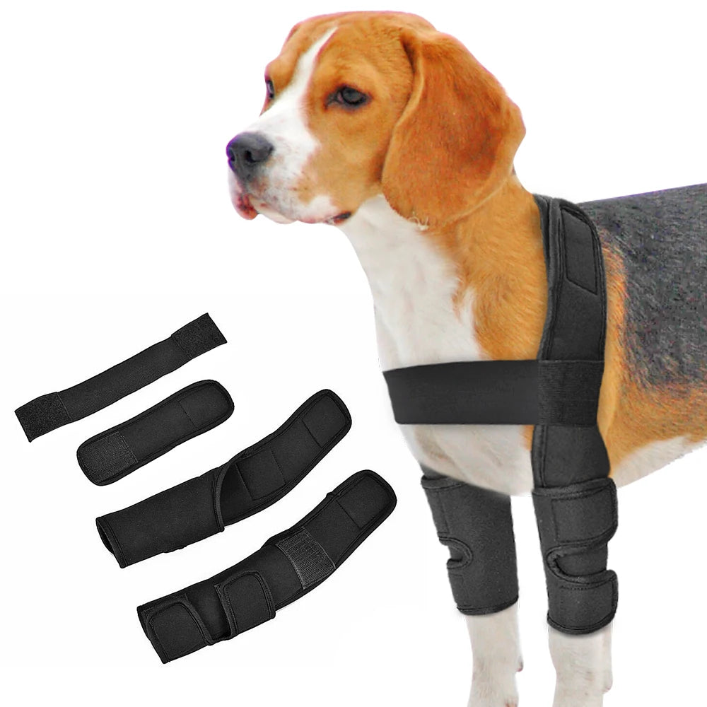 Dog Knee and Leg Brace – Supportive Joint Wrap for Injury Recovery and Arthritis Relief