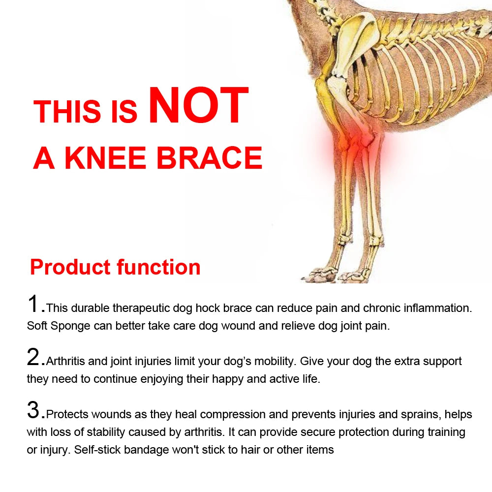 Dog Knee and Leg Brace – Supportive Joint Wrap for Injury Recovery and Arthritis Relief
