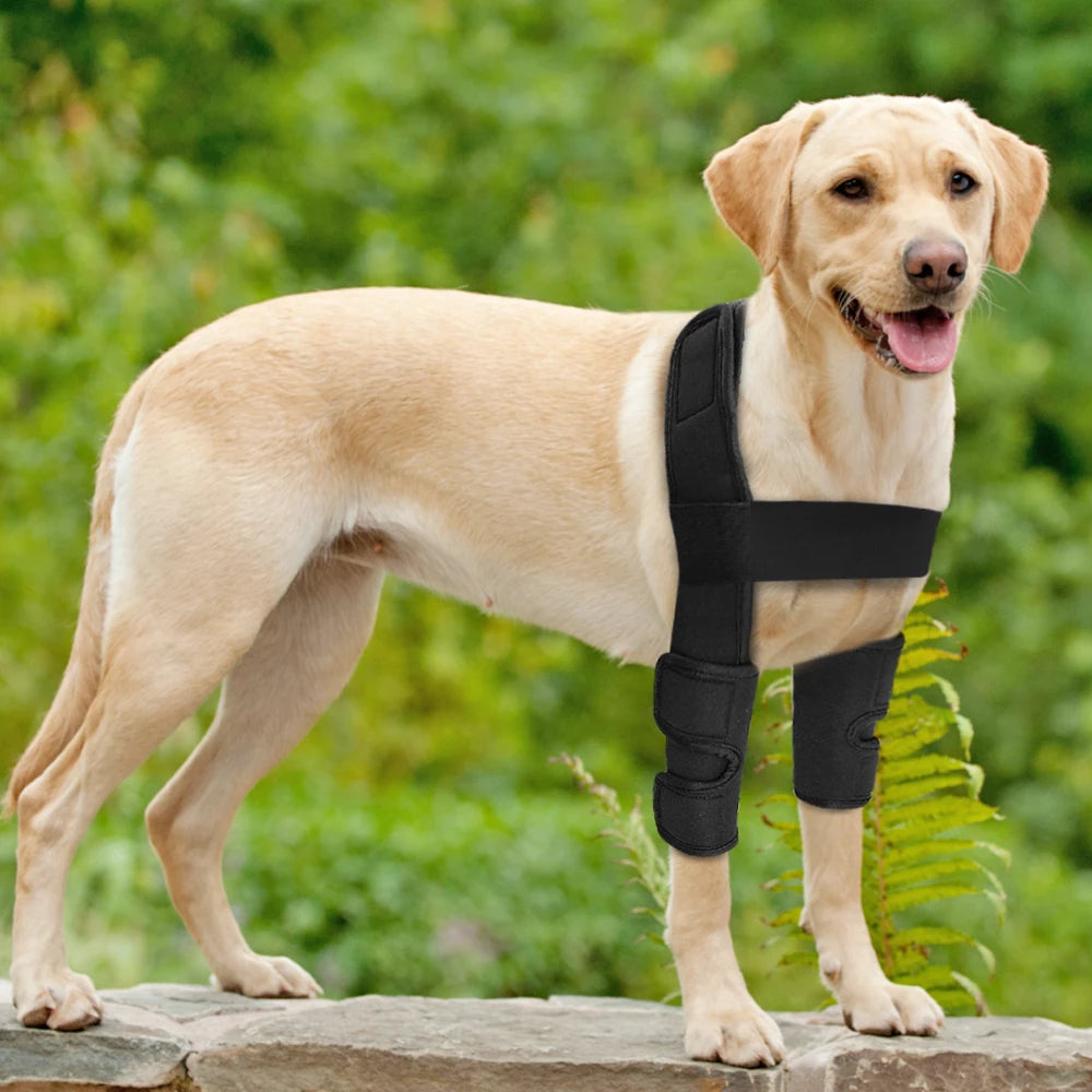 Dog Knee and Leg Brace – Supportive Joint Wrap for Injury Recovery and Arthritis Relief