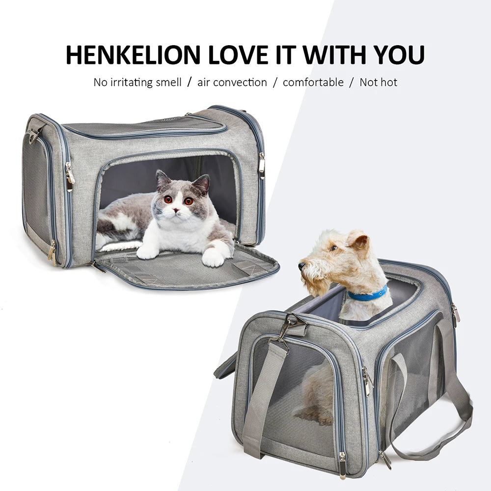Airline-Approved Soft-Sided Dog Carrier Backpack