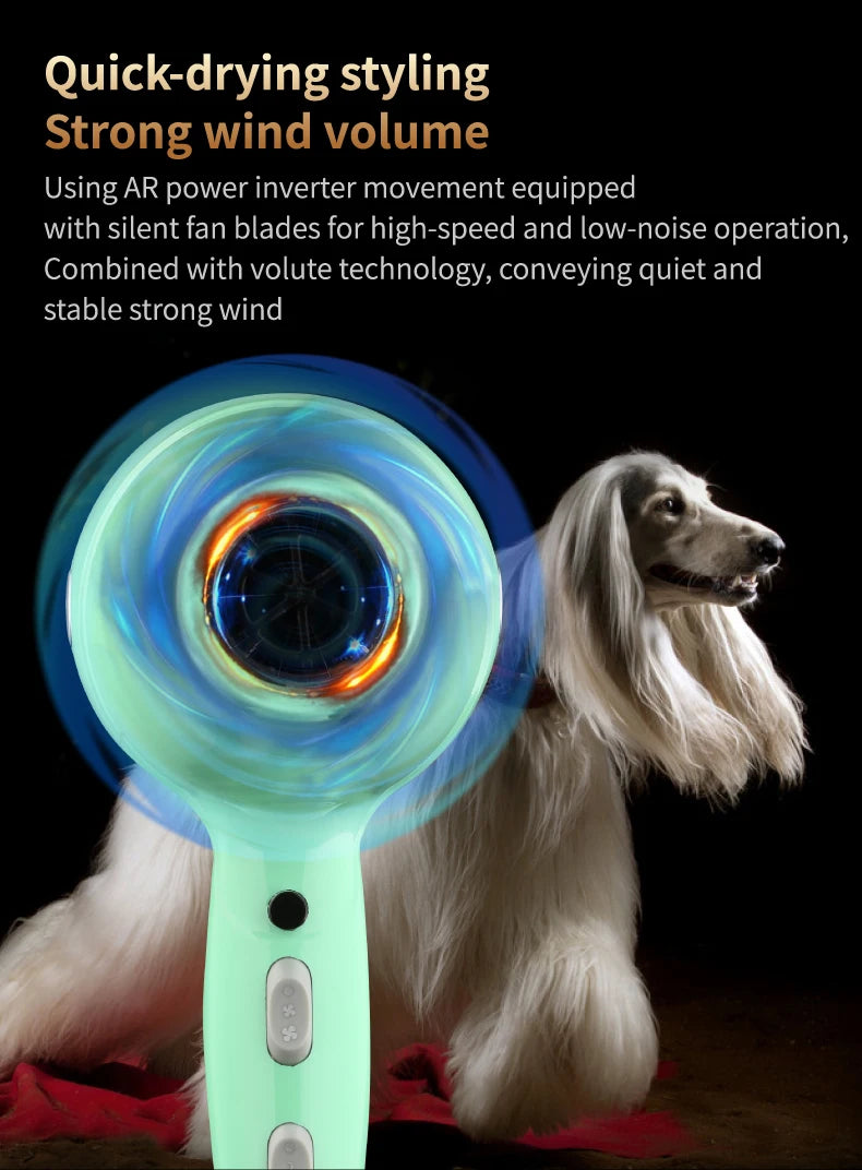 Fenice High-Power Pet Hair Dryer – Silent Water Blower for Quick Drying Dogs and Cats