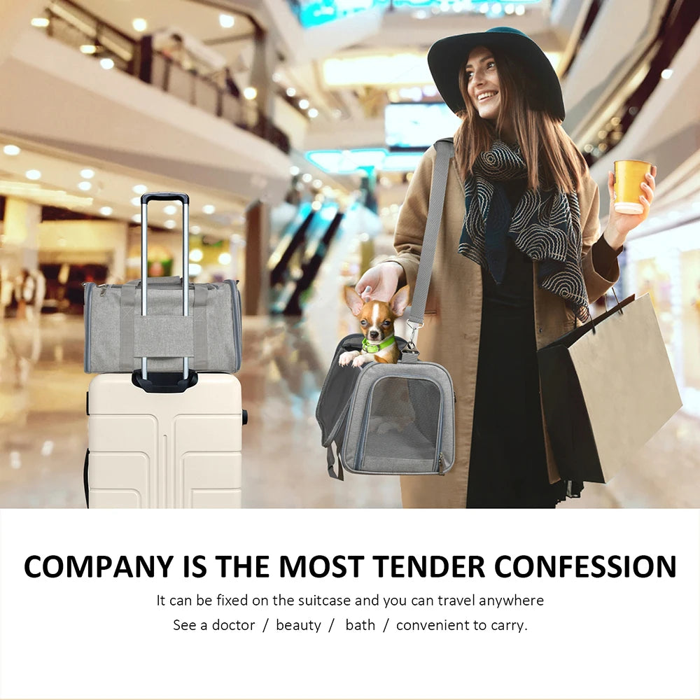 Airline-Approved Soft-Sided Dog Carrier Backpack