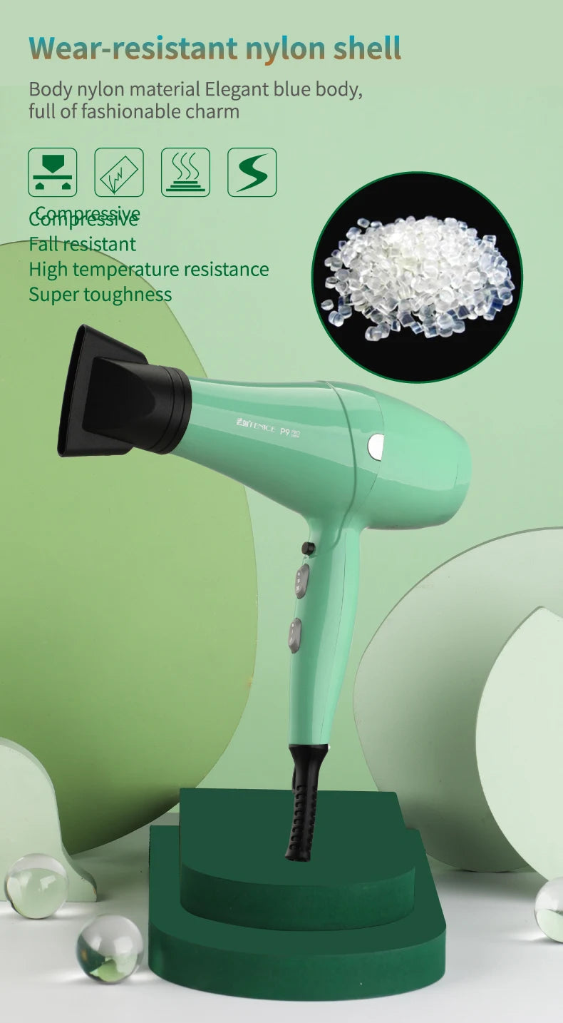 Fenice High-Power Pet Hair Dryer – Silent Water Blower for Quick Drying Dogs and Cats