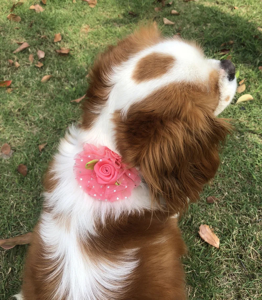 20pcs Valentine’s Day Pet Bowties and Neckties – Lace Rose Love Style Accessories for Dogs and Cats