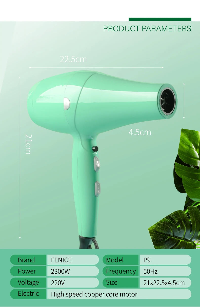 Fenice High-Power Pet Hair Dryer – Silent Water Blower for Quick Drying Dogs and Cats