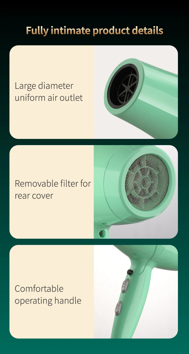 Fenice High-Power Pet Hair Dryer – Silent Water Blower for Quick Drying Dogs and Cats