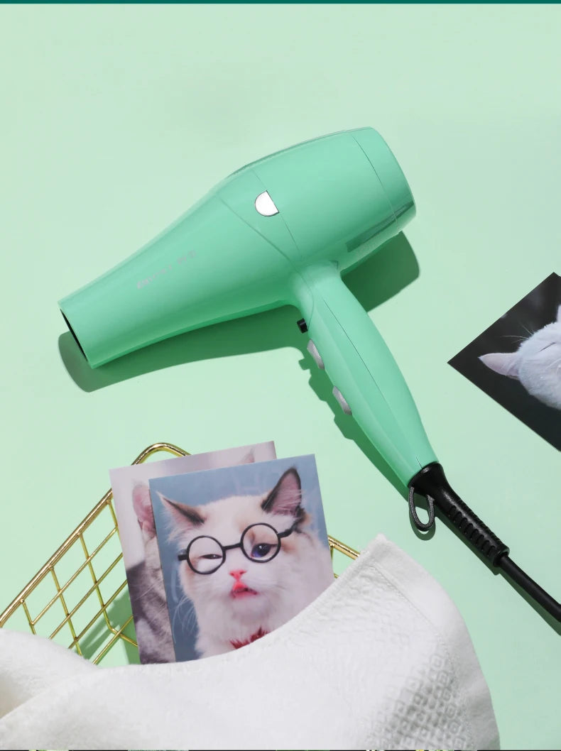 Fenice High-Power Pet Hair Dryer – Silent Water Blower for Quick Drying Dogs and Cats