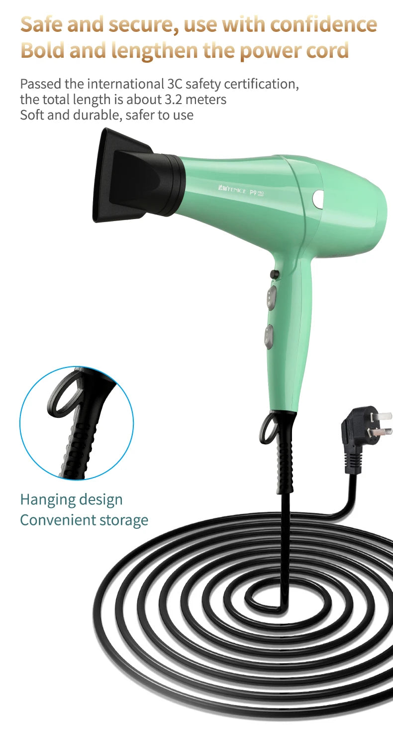 Fenice High-Power Pet Hair Dryer – Silent Water Blower for Quick Drying Dogs and Cats