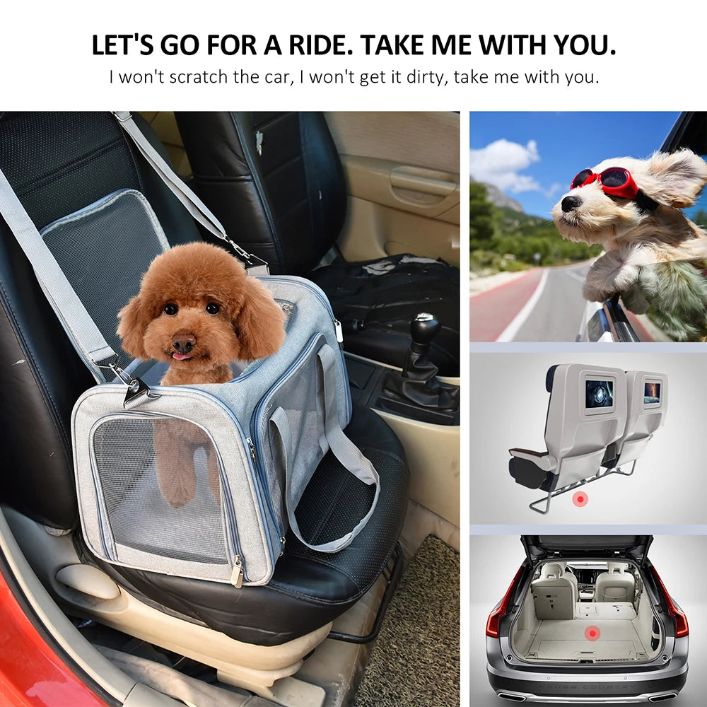 Airline-Approved Soft-Sided Dog Carrier Backpack