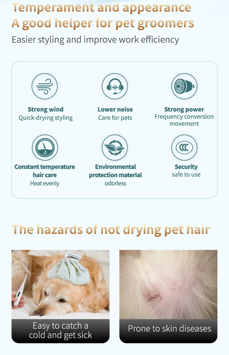 Fenice High-Power Pet Hair Dryer – Silent Water Blower for Quick Drying Dogs and Cats