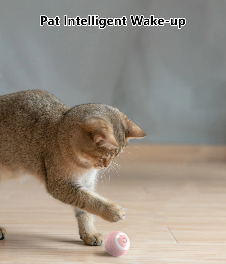 Smart Interactive Rolling Ball for Cats