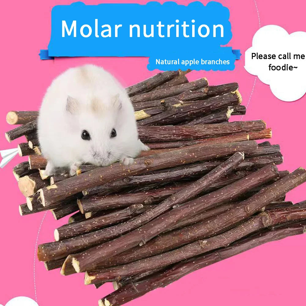 Molar Stick Apple Twig Rabbit Dutch Pig Snack Chewing Toy