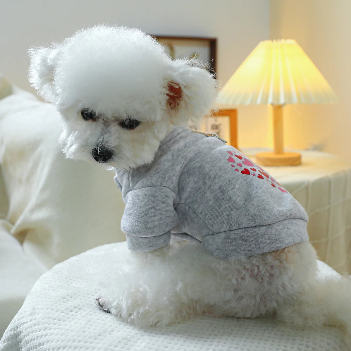 1PC Pet Clothing Dog Cat Valentine's Day Red Love Coat with Drawstring Buckle, Suitable for Small and Medium sized Dogs
