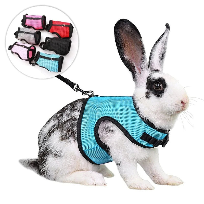 Mutil-Colors Breathable Stylish Vest Small Pet Carrier