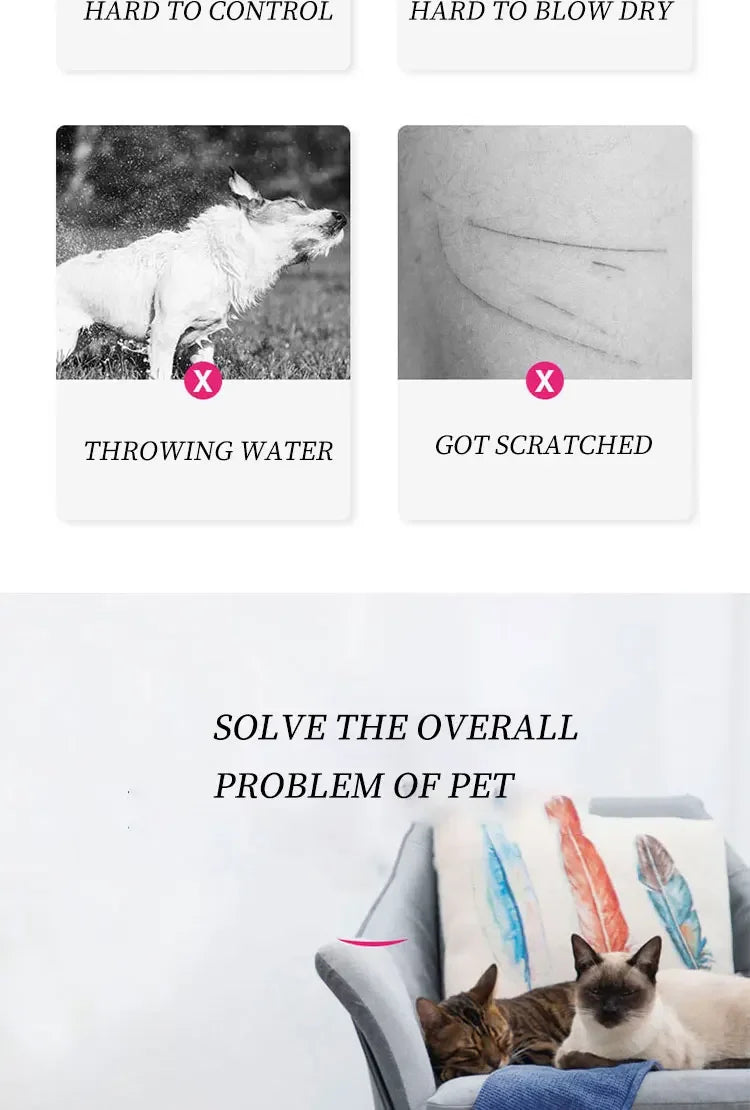 Smart Pet Drying Box – The Ultimate Silent Dryer