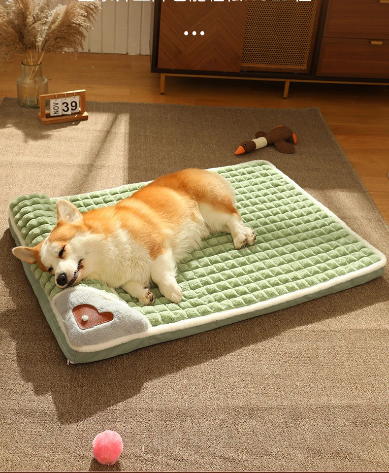MADDEN Winter Warm Dog Mat & Luxury Pet Sofa