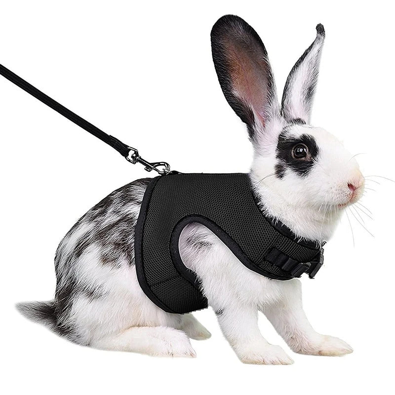 Mutil-Colors Breathable Stylish Vest Small Pet Carrier