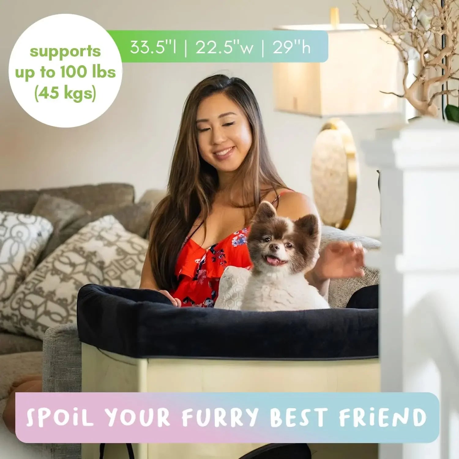 Raised Bunk Bed for Medium Size Pets for Cats & Dogs
