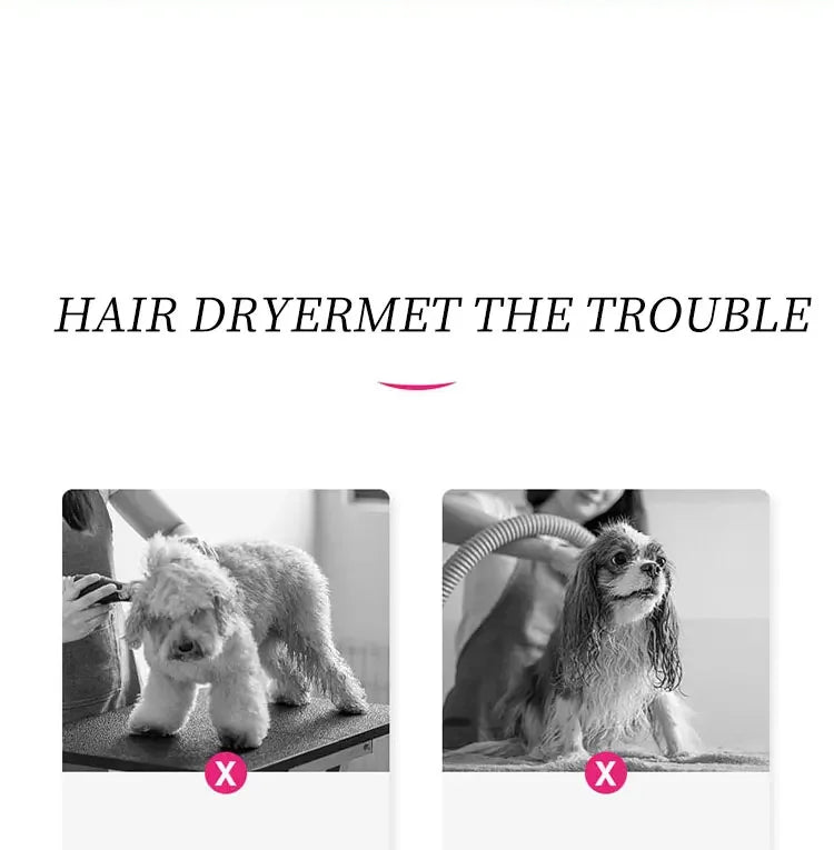 Smart Pet Drying Box – The Ultimate Silent Dryer