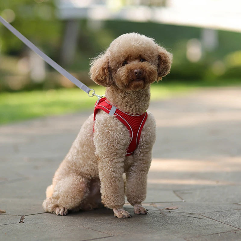 Product Description: Adjustable Dog Harness & Leash Set for Small Dogs