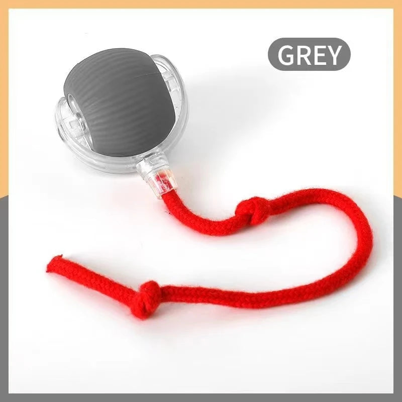 Automatic Interactive Ball Toys