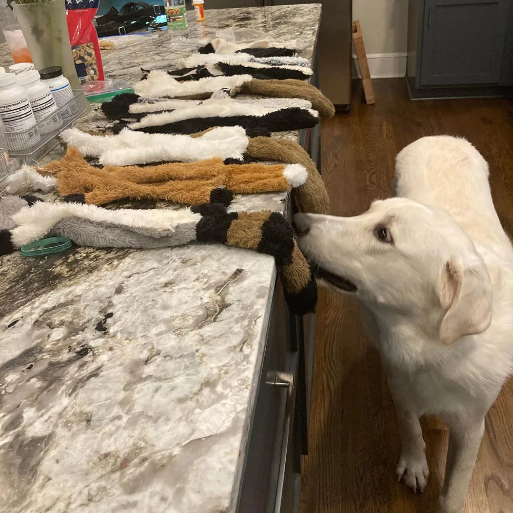 Stuffing-Free Animal Plush Dog Toy with Squeakers