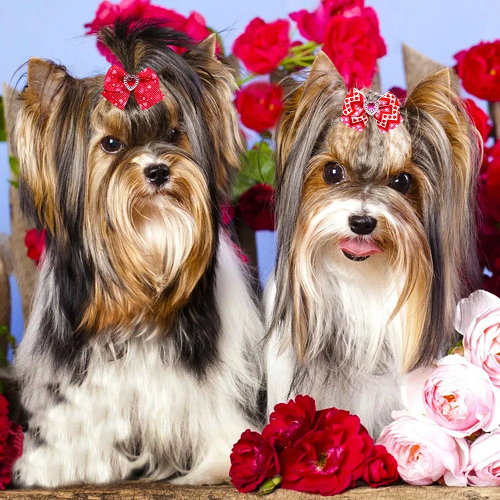 20PCS Valentine’s Day Dog Bows – Red and Pink Hair Bow Accessories for Dogs and Cats