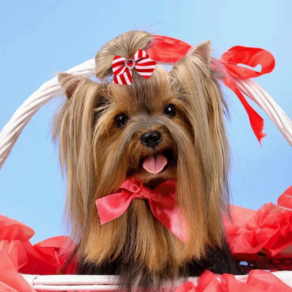 20PCS Valentine’s Day Dog Bows – Red and Pink Hair Bow Accessories for Dogs and Cats