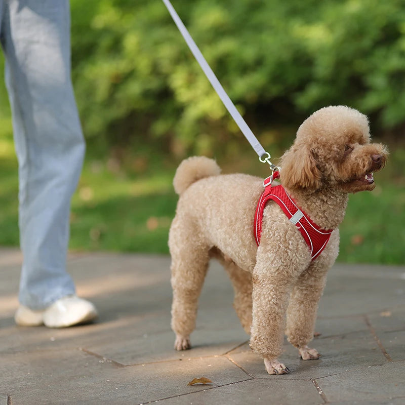 Product Description: Adjustable Dog Harness & Leash Set for Small Dogs