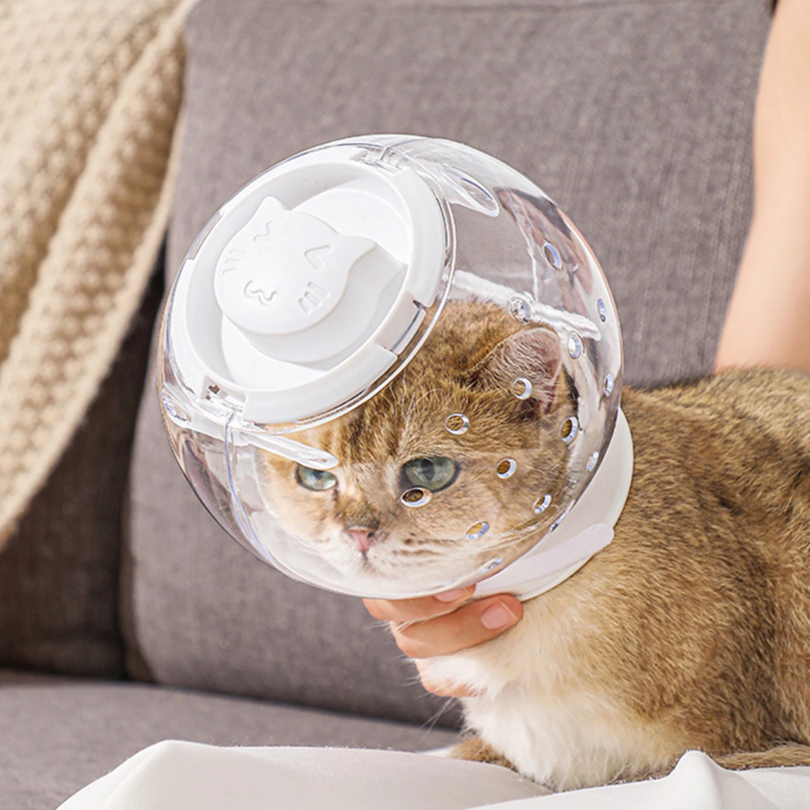 Breathable Cat Muzzle – Protective Grooming Hood for Safe and Stress-Free Care