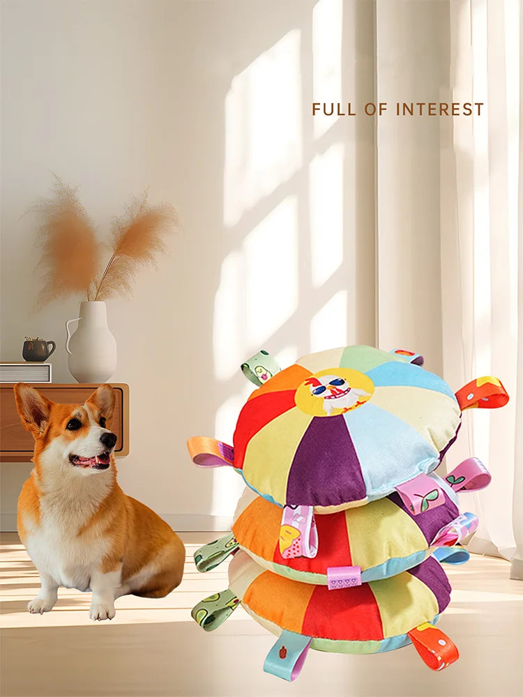 Rainbow Plush Flying Saucer Dog Toy