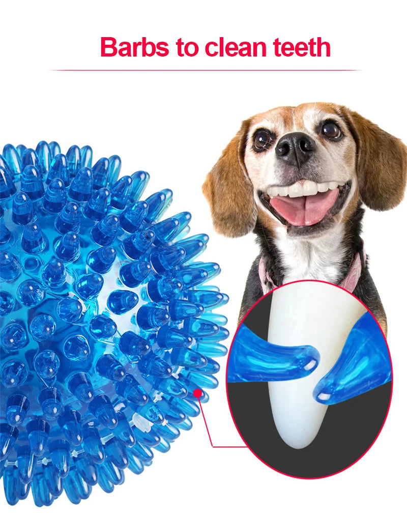 Squeaky Spiked TPR Chewing Ball for Pets