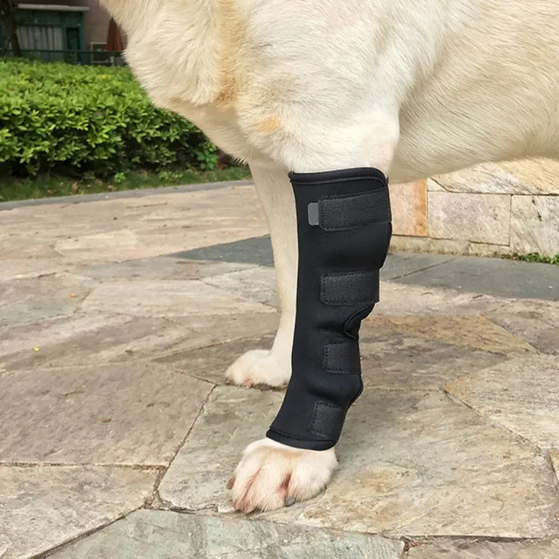 Dog Leg and Knee Pads – Recovery Bandage and Joint Protector for Wounds and Arthritis
