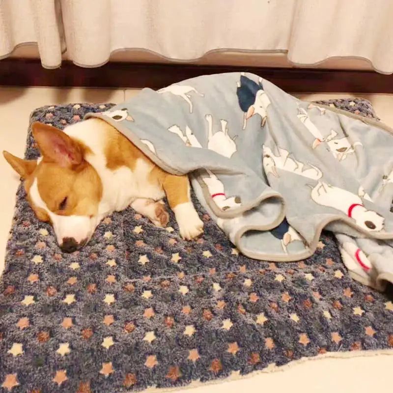 Soft Flannel Pet Fleece Pad – Thickened Blanket and Mattress for Cozy Sleep
