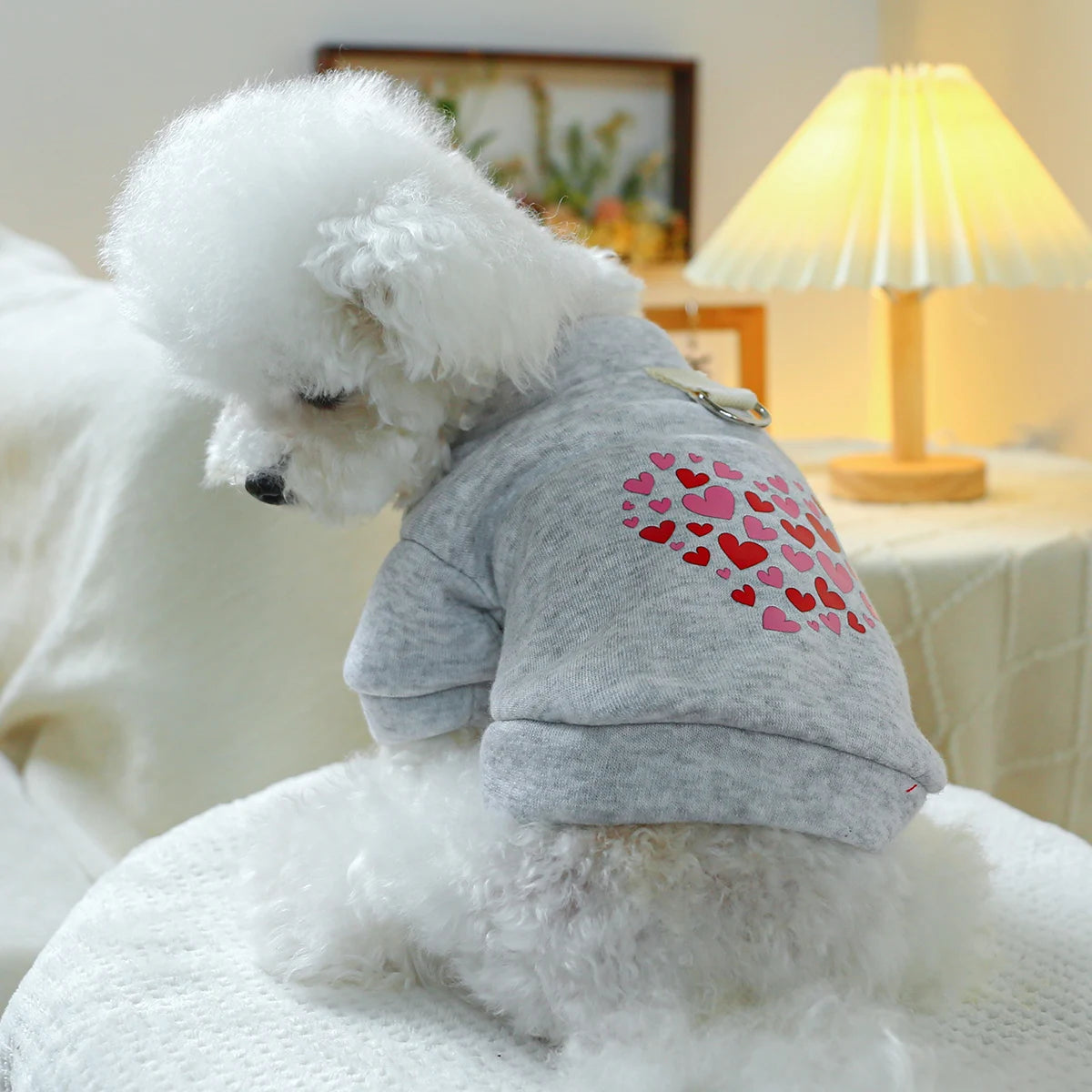 1PC Pet Clothing Dog Cat Valentine's Day Red Love Coat with Drawstring Buckle, Suitable for Small and Medium sized Dogs