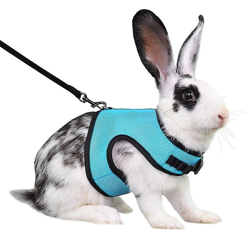 Mutil-Colors Breathable Stylish Vest Small Pet Carrier