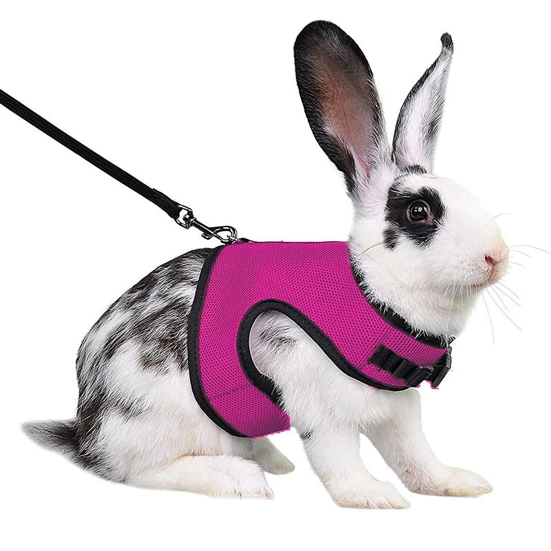 Mutil-Colors Breathable Stylish Vest Small Pet Carrier