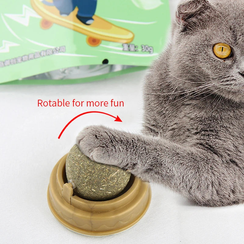 Natural Catnip Wall-Mounted Cat Ball