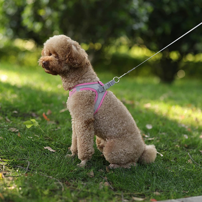 Product Description: Adjustable Dog Harness & Leash Set for Small Dogs