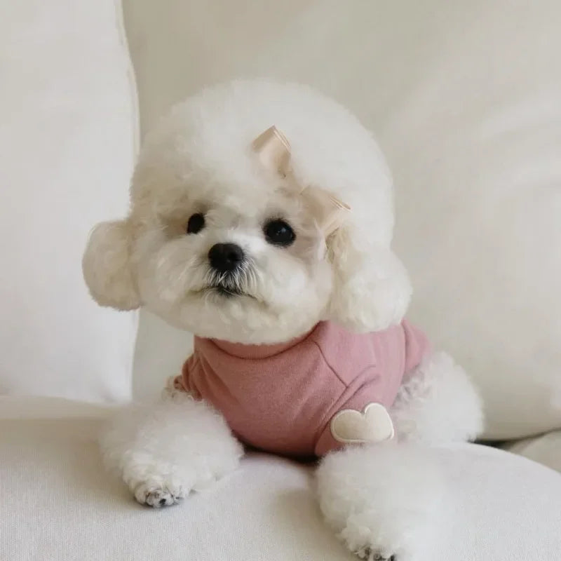 Love Bear Winter Warm Pet Hoodie – Adorable and Cozy Designer Clothing for Dogs and Cats