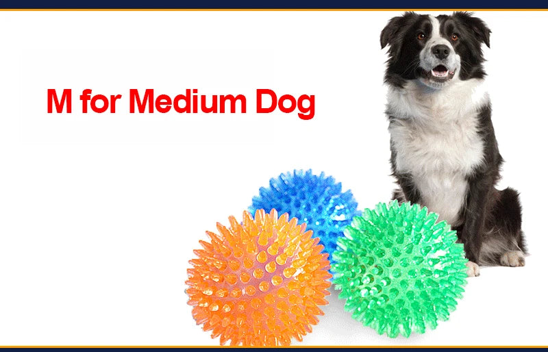 Squeaky Spiked TPR Chewing Ball for Pets