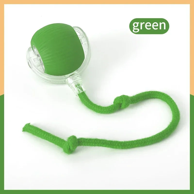 Automatic Interactive Ball Toys