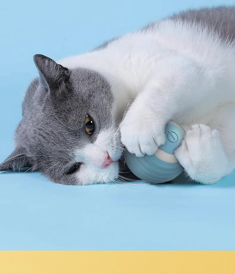 Smart Interactive Rolling Ball for Cats